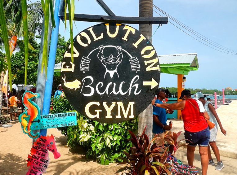 Evolution BEACH GYM 11