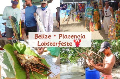 placencia lobsterfest