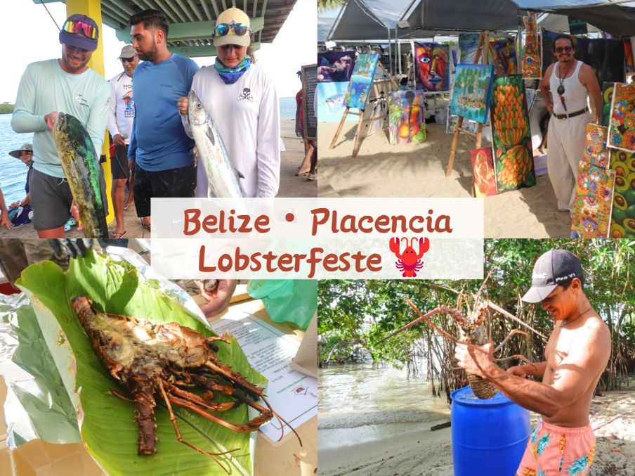 placencia lobsterfest