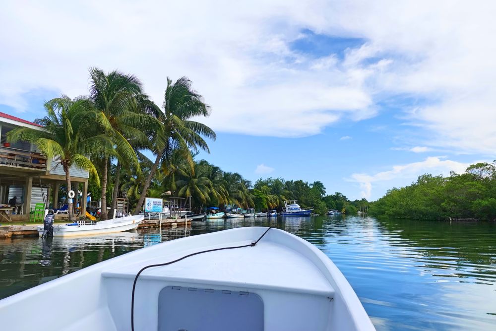 Ranguana Caye 1