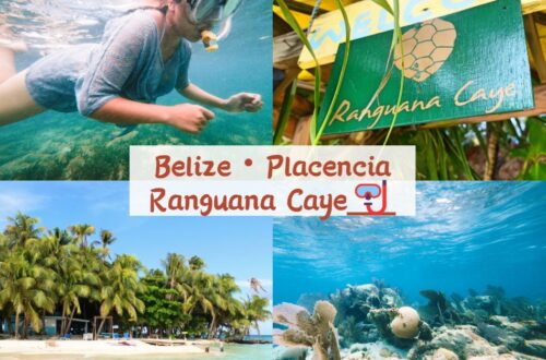 Ranguana Caye 10