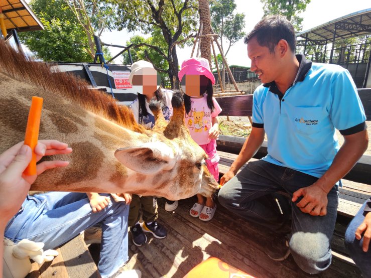 泰國包車一日遊推薦 包車遊大城府 歷史古蹟與野生動物近距離體驗 15