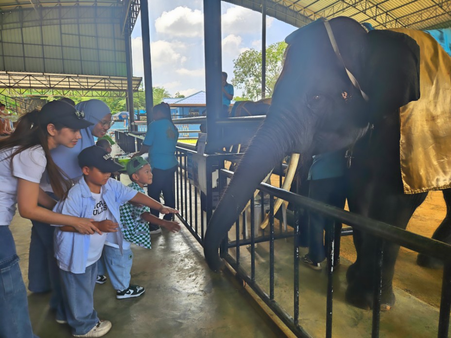 泰國包車一日遊推薦 包車遊大城府 歷史古蹟與野生動物近距離體驗 48