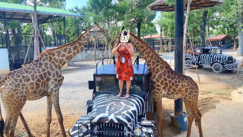 泰國包車一日遊推薦 包車遊大城府 歷史古蹟與野生動物近距離體驗 5